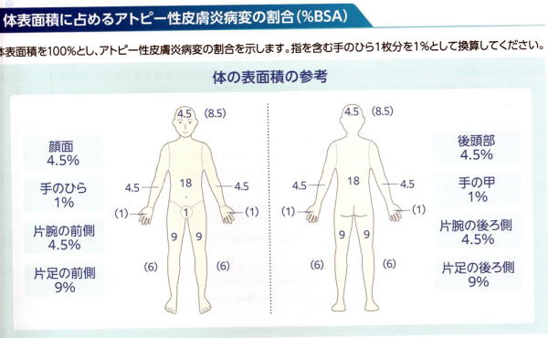 AD皮膚病変の評価